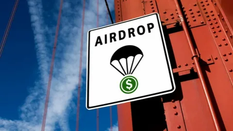 Airdrop Services in 2025