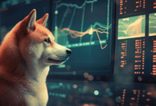 Best Shiba Inu Trading Platform 2025