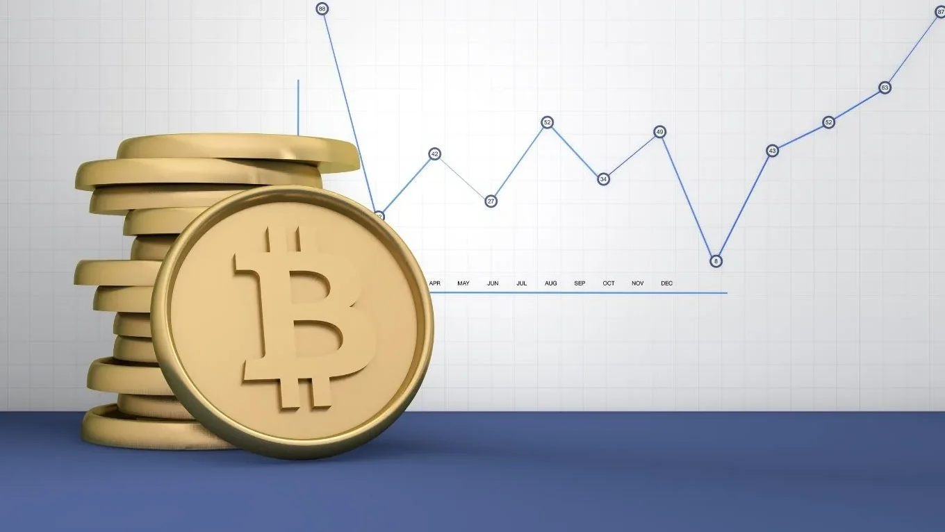 Fundamental Factors Influencing Bitcoin's 2025 Price