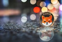 How to Buy Shiba Inu Cryptocurrency Safely