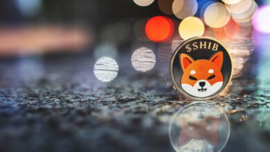 How to Buy Shiba Inu Cryptocurrency Safely