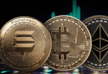 Sui Price Prediction Investment Guide