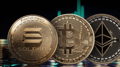Sui Price Prediction Investment Guide