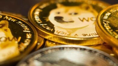 best meme coins to invest in 2025