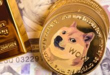 Shiba Inu Coin Price Prediction 2025