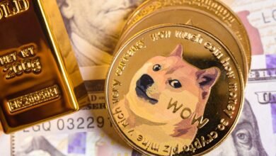 Shiba Inu Coin Price Prediction 2025